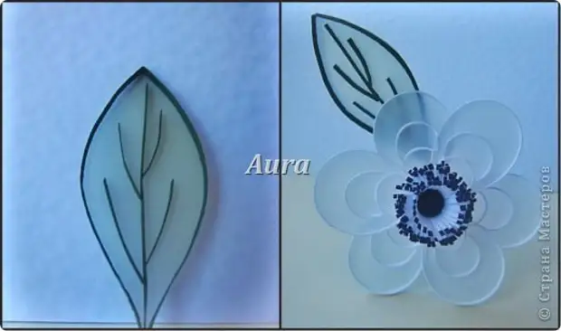 Master Class Quilling Quilling á Caching MK Anemones Paper Paper Stripes mynd 10