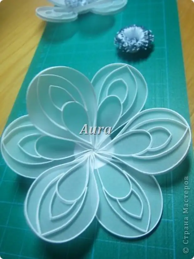 Master Class Quilling Quilling á Celing MK Anemones Paper Paper Stripes mynd 6