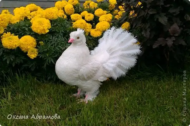 Merpati dari botol plastik. Mk