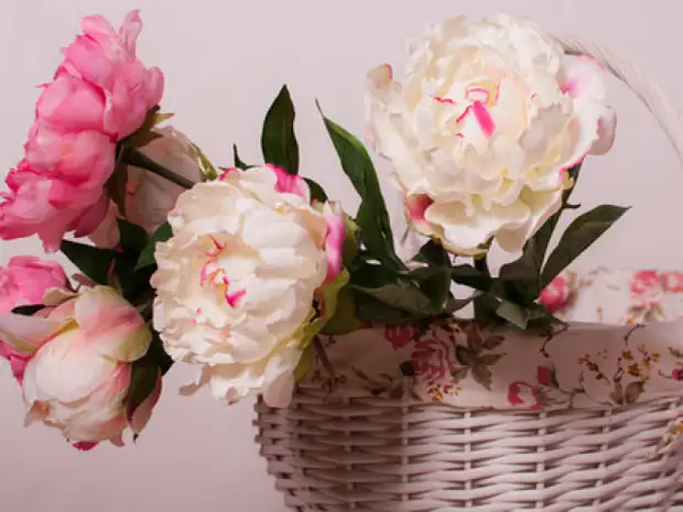 Pèfeksyon an detay: Bouquet nan peonies twal