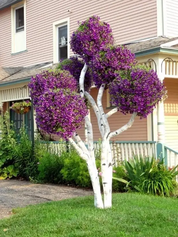 Árbol con petunias