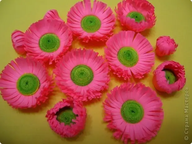 Quilling. Daisies lembut. Kelas Induk (12) (520x390, 124KB)