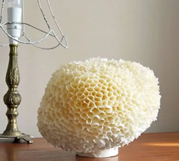 Corals gawin ito sa iyong sarili para sa dekorasyon ng isang panloob sa estilo ng maritime (2) (543x488, 104kb)