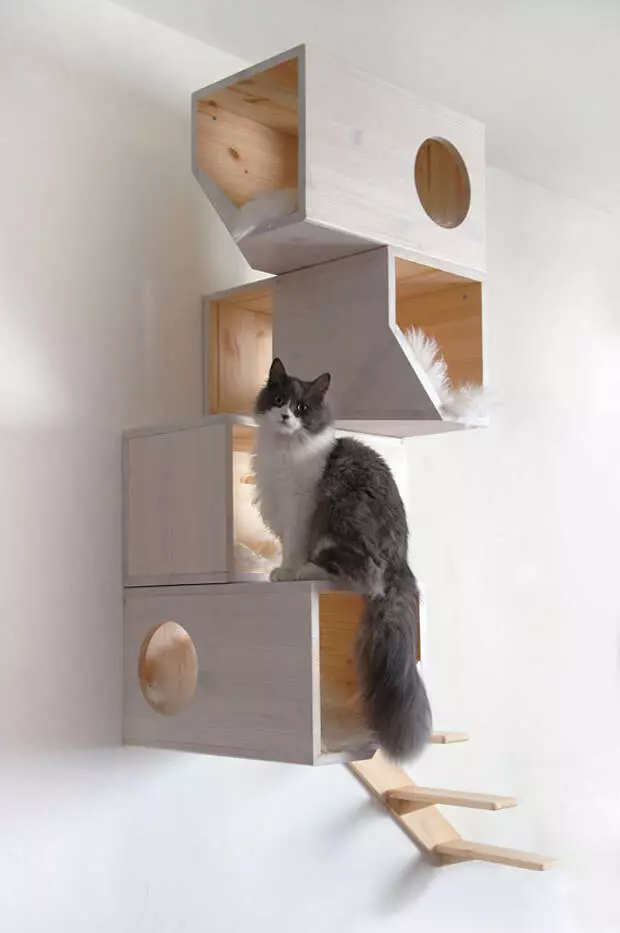 Catissa: House Koshkin