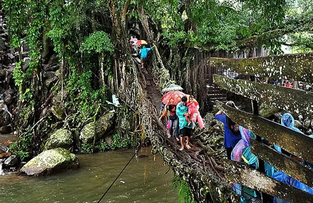 Ikiraro kiva mu mizi ya Jembatan akar