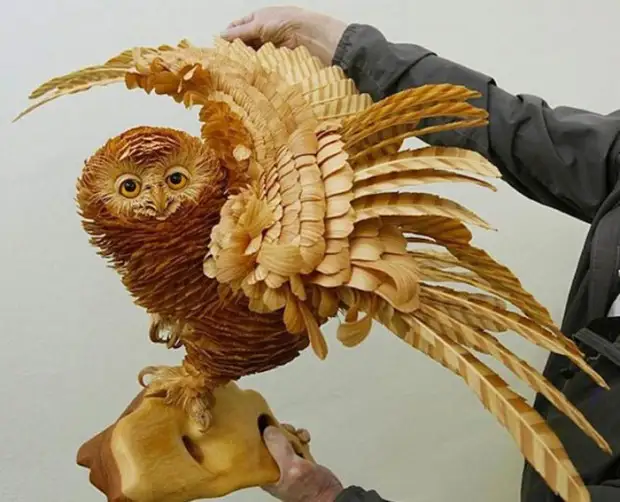 Owl დამზადებული ჩიპი