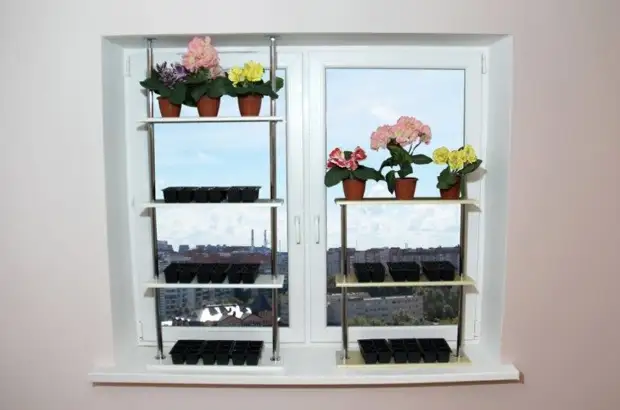 Estantes en el alféizar de la ventana debajo de la habitación flores.