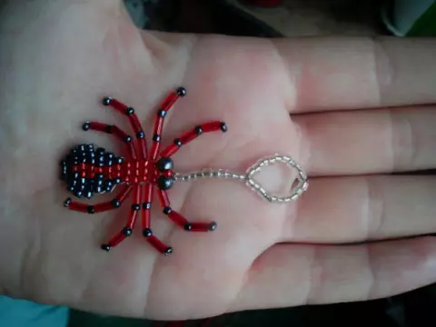 Spider aus Bead