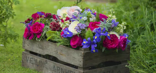 Sådan skaber du en smuk, usædvanlig blomsterbed fra kæreste