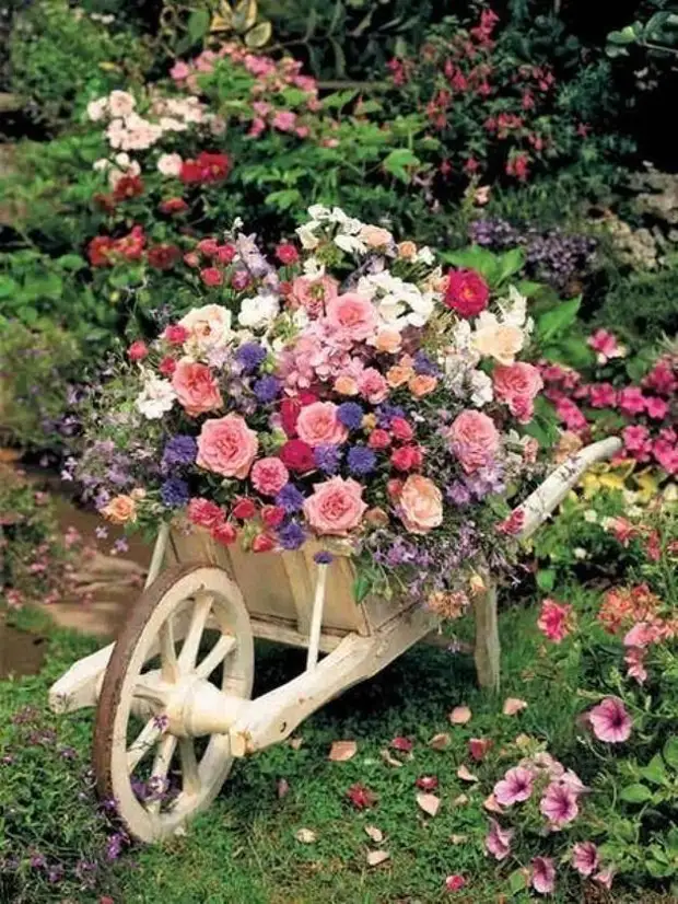 如何從女朋友創造一個美麗，不尋常的花壇