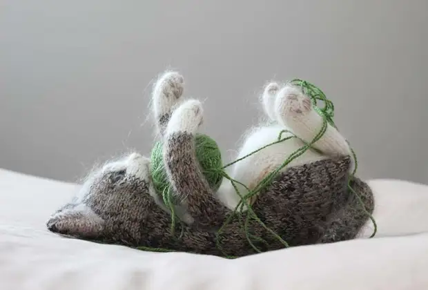Kaikkein söpöjä saumoja kaikkien söpöjen kissojen: Nämä neulotut tassut ja pyöreät tarinat kutivat sydämesi