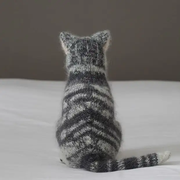 Les costures més boniques de tots els gats simpàtics: aquestes potes de punt i contes rodons fan pessigolles al cor