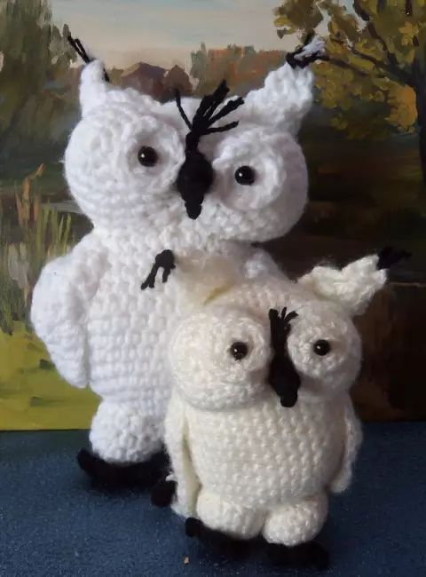 owwed owls