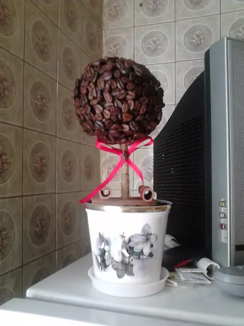 Albero di caffè