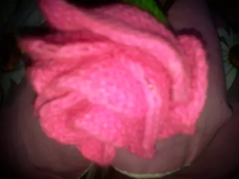 Knitted Rose! MK.