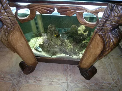 Aquarium de masă