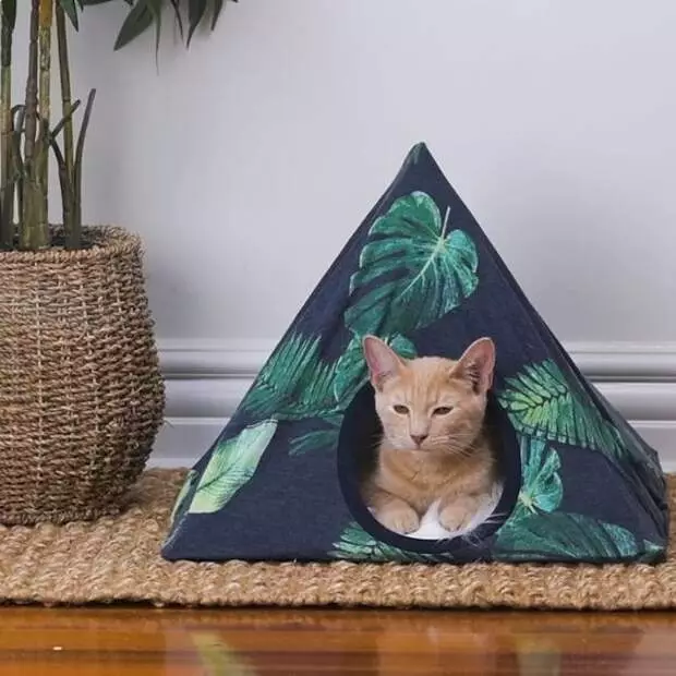 Casa triangular para animal de estimação doméstica