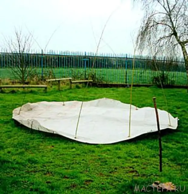 Giunsa paghimo ang usa ka "berde" nga gazebo gikan sa ulo nga ubas sa ilang kaugalingon nga mga kamot?