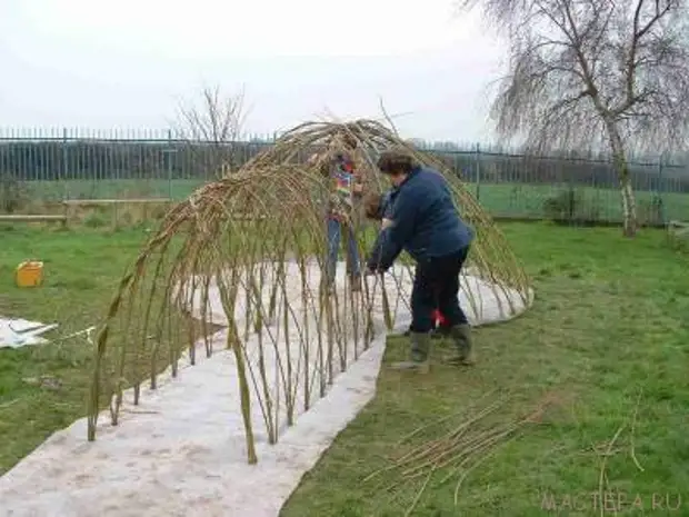 Ինչպես պատրաստել կանաչ gazebo