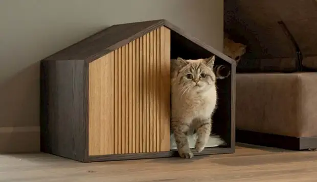 あなたのお気に入りのふわふわを喜ばせる10の方法 - 猫のために家を作るあなた自身をしなさい（2/2）