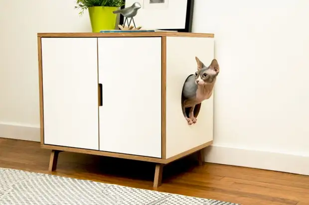 10 xeitos de agradar o seu favorito fluffy - facer unha casa para un gato faino vostede mesmo (2/2)