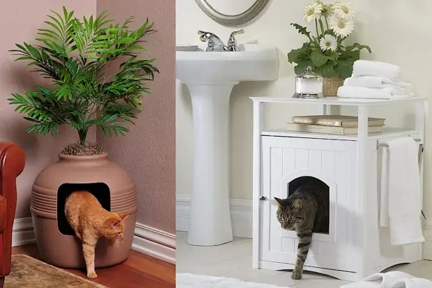 10 maneras de complacer a su mullido favorito: hacer una casa para un gato hacerlo usted mismo (2/2)