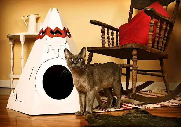 10 måder at behage din yndlingsfluffy - lav et hus til en kat gør det selv (2/2)