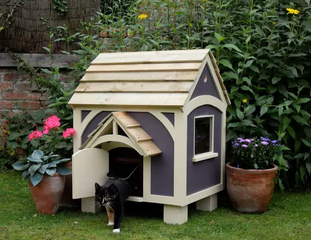 10 Möglichkeiten, Ihren Lieblingsflieger zu gefallen - Machen Sie ein Haus für die Katze, die Sie selbst tun (1/2)