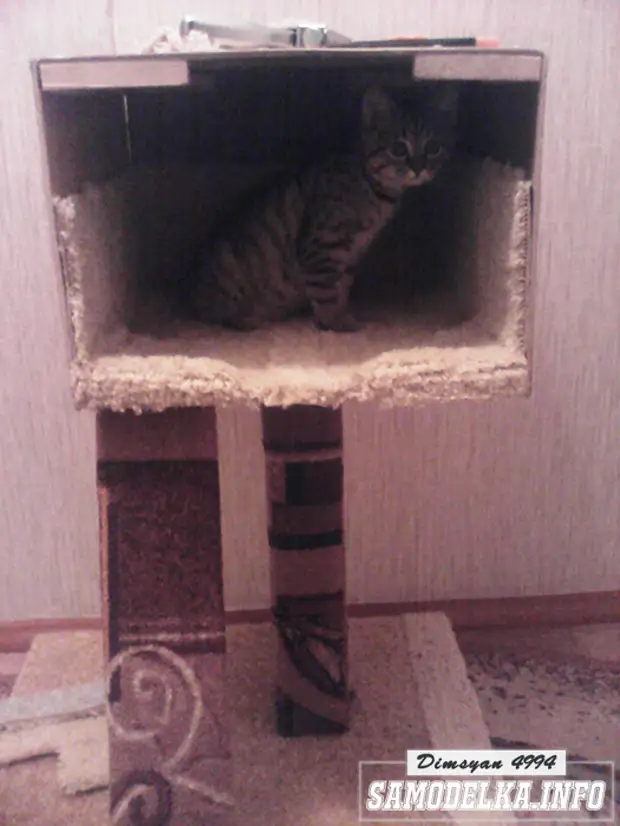 Si për të bërë një shtëpi për një mace të bëjë vetë