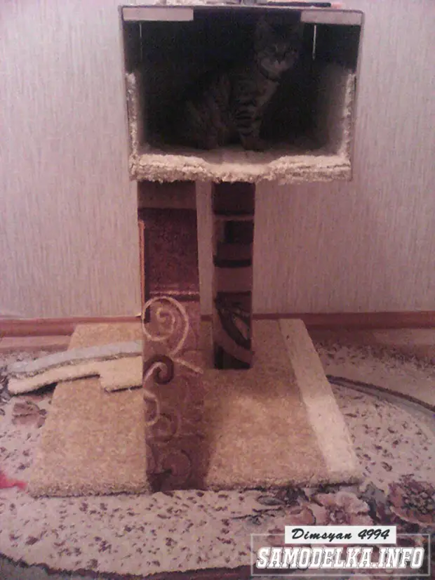 Hogyan készítsünk házat egy macskára