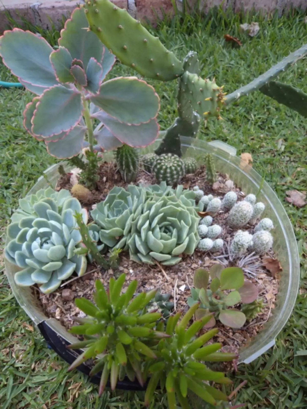 Awọn Akopọ lati Cacti