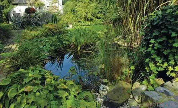 Pond decoratiu al jardí. CLASSE MAGISTRAL.