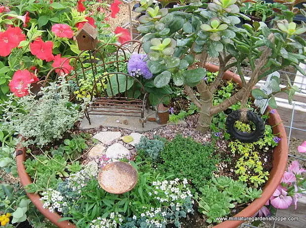 Miniature Gardens