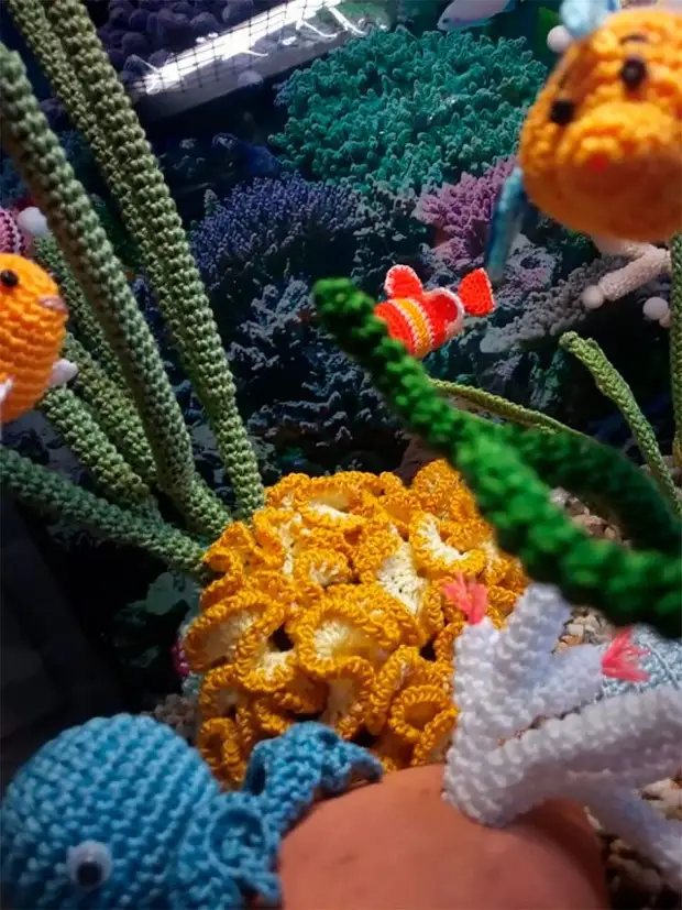 Kleurlik Aquarium fan Knitting Amateur