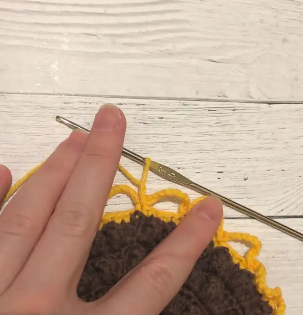 நான் மிகவும் அழகான சூரியகாந்தி crochet உடன் knit. விரிவான மாஸ்டர் வகுப்பு