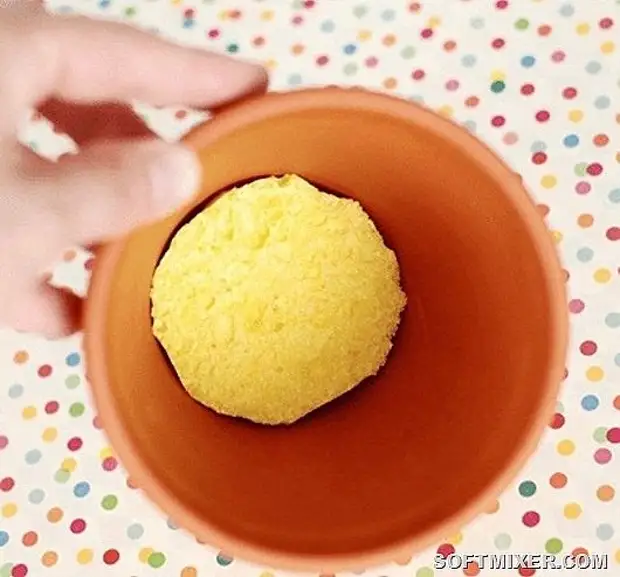 Jiyana Duyemîn ya Tiştan: 18 Ways ku bikaranîna Kitchen Sponge