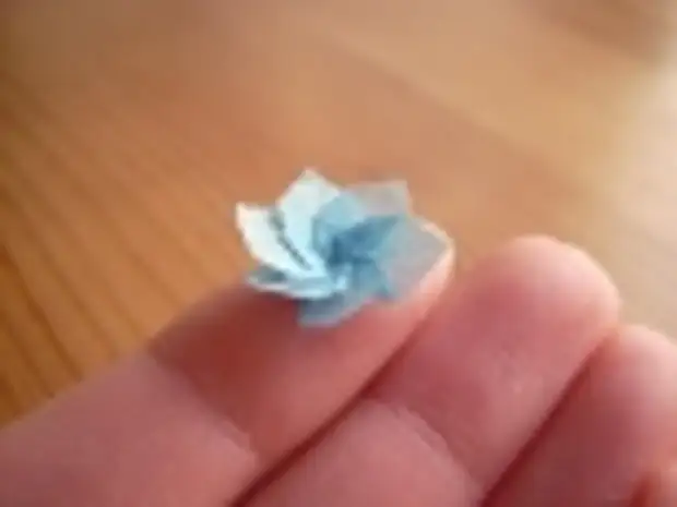 Thumbs Origami Anja Markiewicz 15 mikroskopska origamija Anna Markevich
