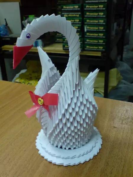 Swan nyeupe