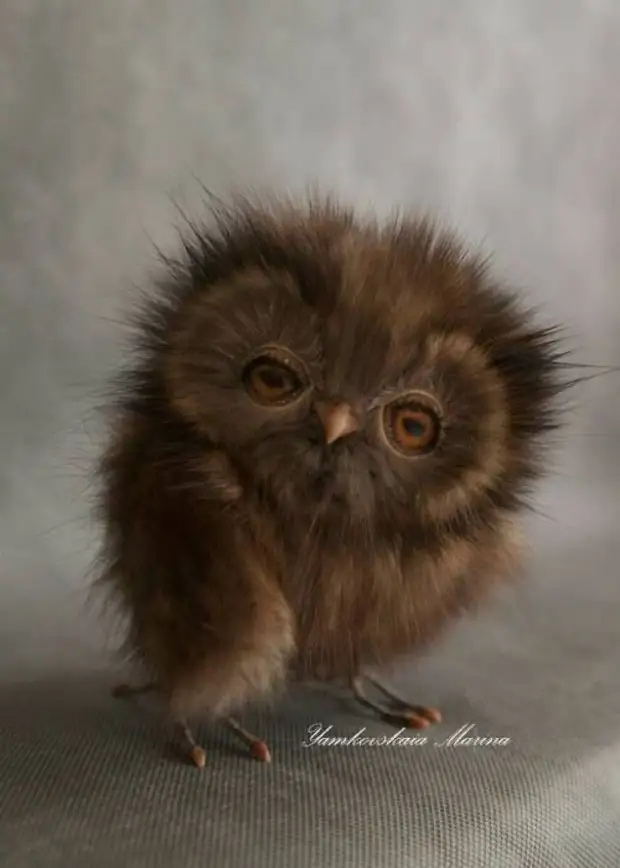 Հմայիչ խաղալիք Owls Marina Yamkovskaya