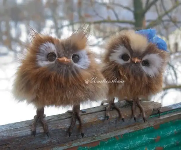 Mainan menawan owls marina yamkovskaya