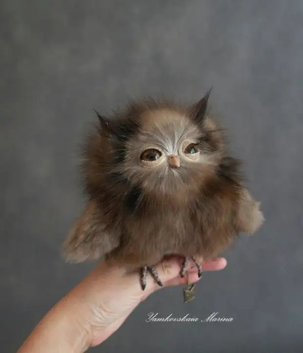 Հմայիչ խաղալիք Owls Marina Yamkovskaya