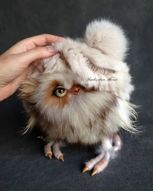 Հմայիչ խաղալիք Owls Marina Yamkovskaya