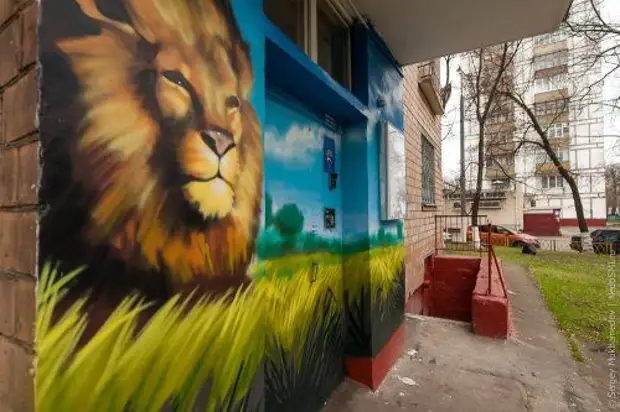 Residents of houses with the help of paints and fantasy decorate their entrances