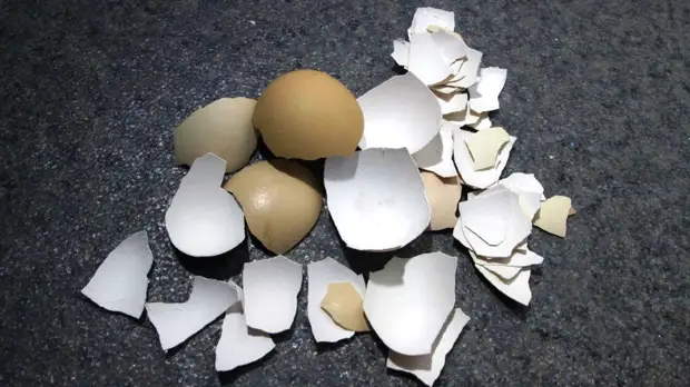 Декор яєчною шкаралупою - приклади і майстер-клас