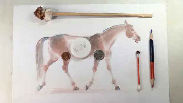 Simple dessin d'un cheval pâle