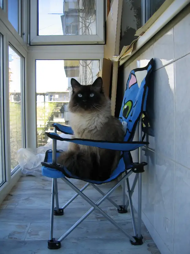 Soos Martin en Martin op die balkon gekoop het