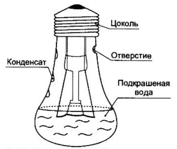 Як зробити барометр з лампочки