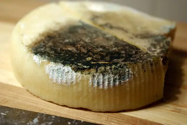 Not for sandwich: 10 resourceful ways to use butter that you definitely did not guess