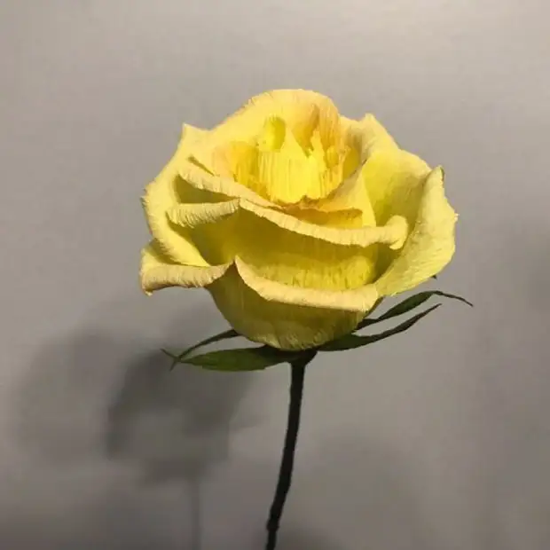 Flors realistes elegants de l'artista indi Surab Gupta