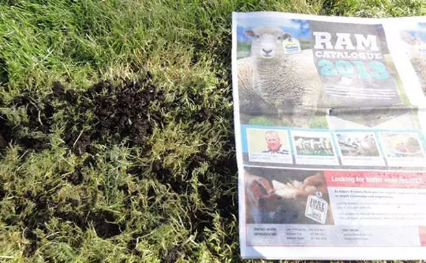 Sådan bruger du unødvendige aviser